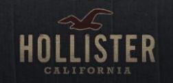 Hollister logo